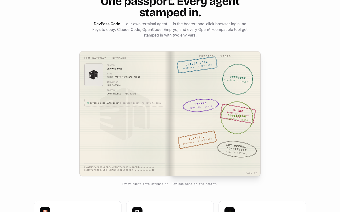 The DevPass passport book with agent visa stamps