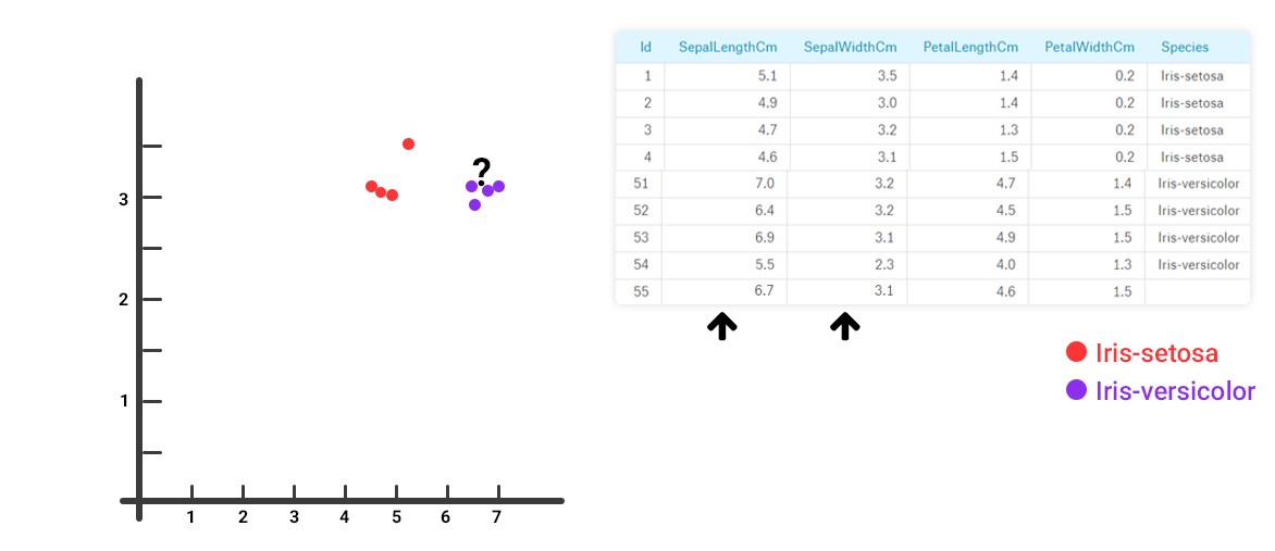 Iris Data